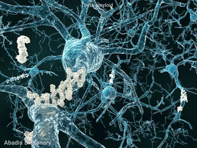 beta amyloid
